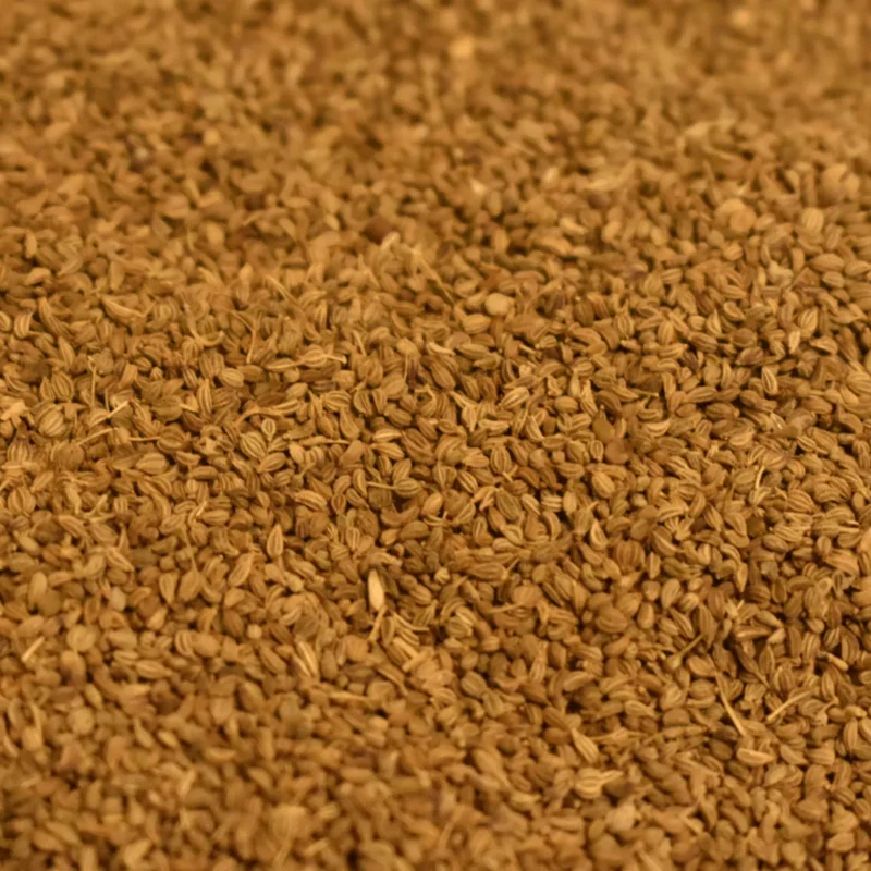 ajwain 1